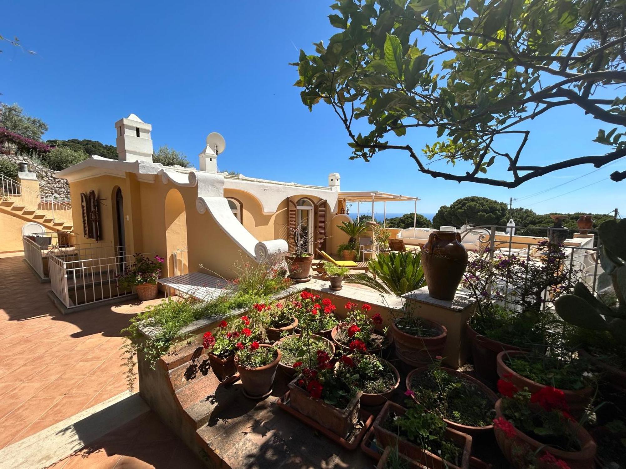 Private Sea View Con Terrazza E Giardino Apartamento Capri
